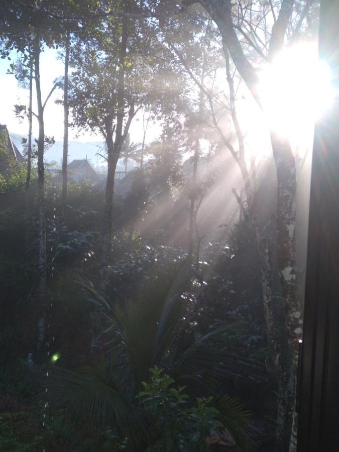 Winterhome Homestay Munnar Eksteriør bilde