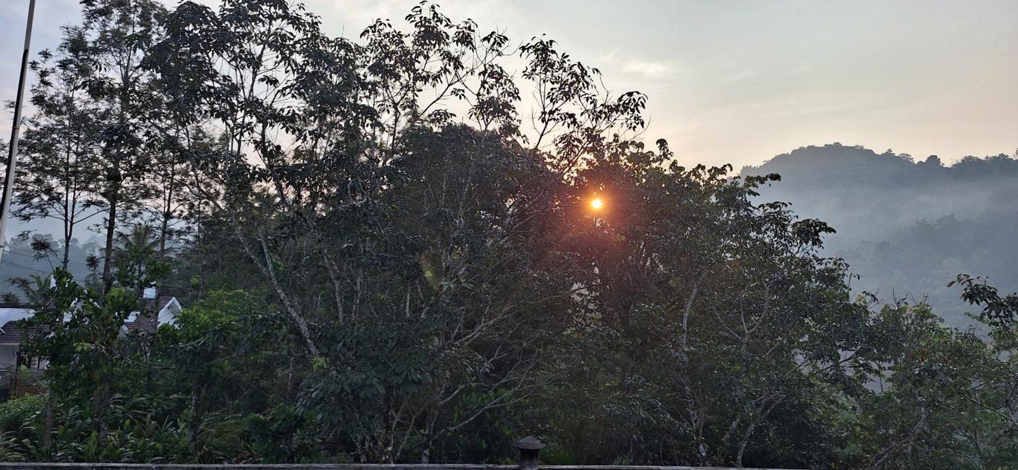 Winterhome Homestay Munnar Eksteriør bilde