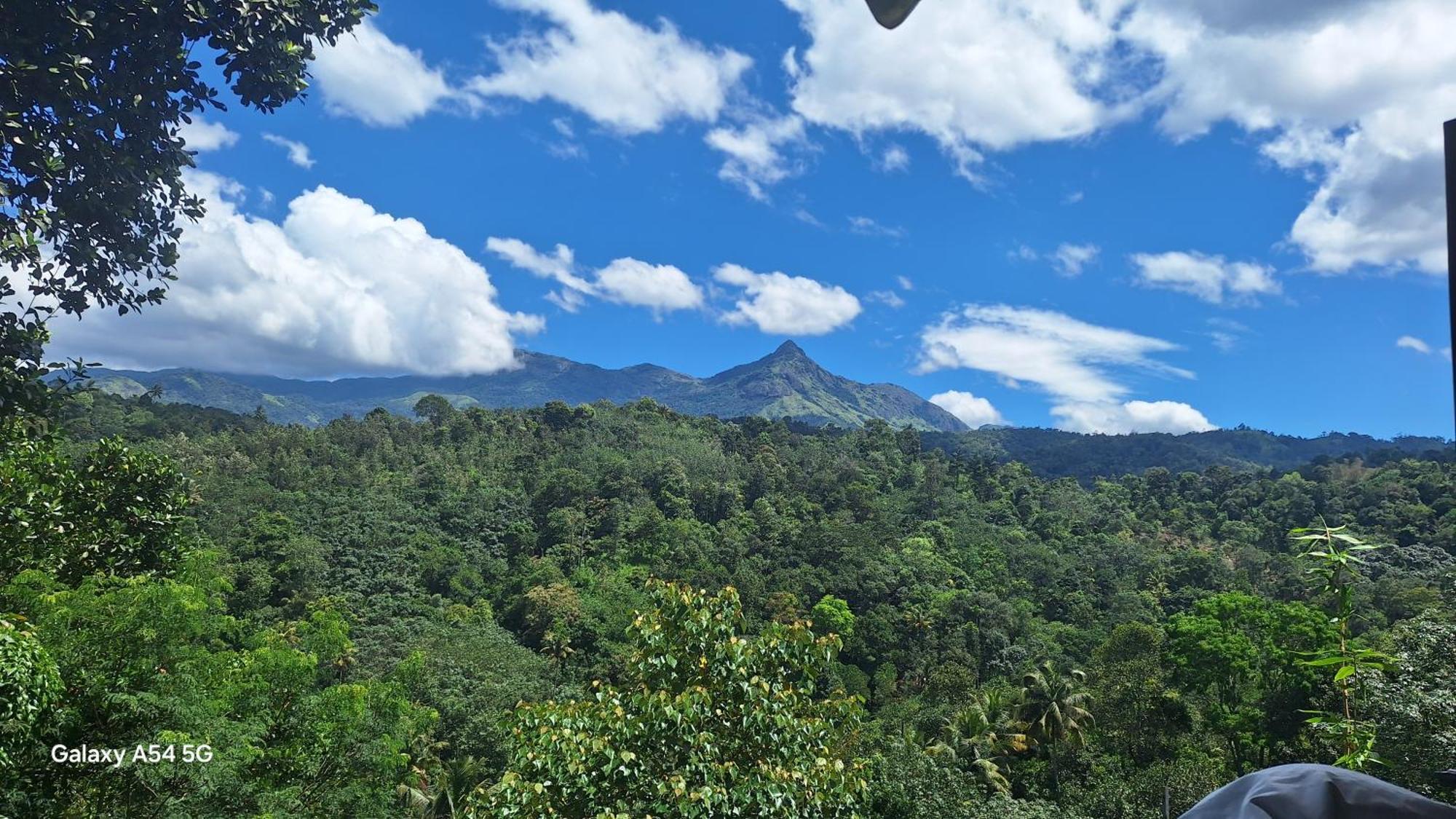 Winterhome Homestay Munnar Rom bilde